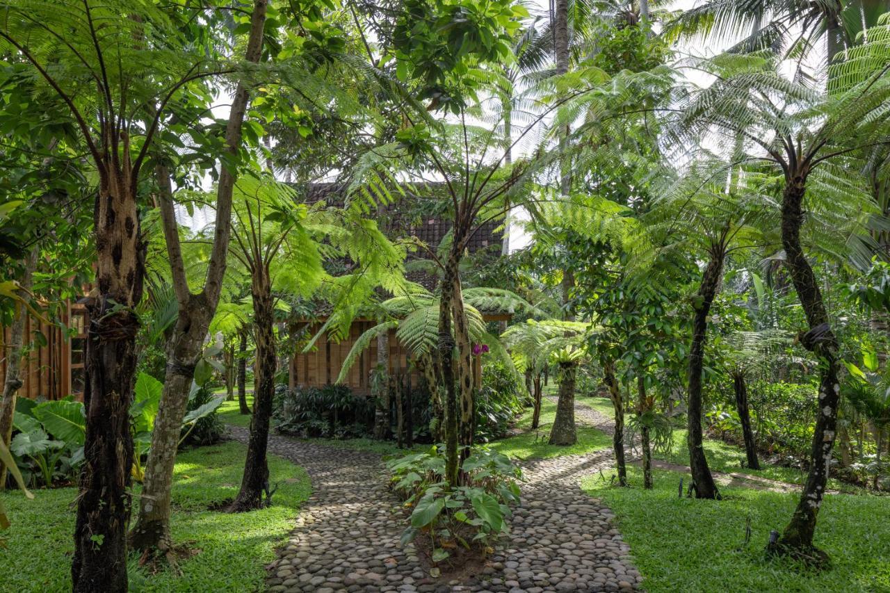 Rumah Kayu Resort Убуд Экстерьер фото